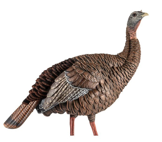 Avian-X Decoy Hdr Hen Turkey AVX8106 - Image 1 of 1