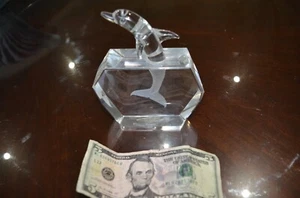 GREAT SHANNON CRYSTAL JUMPING DOLPHIN - Bild 1 von 6