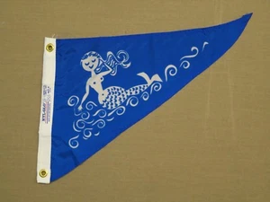 Ojales banderín de nailon para interiores y exteriores azul agua sirena 12" X 15" - Imagen 1 de 2