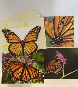 Lot of 4 Cards w/Envelopes Environmental Defense Fund Monarch Butterfly Recycled
