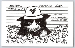 Postcard National May 11 02 Lorene Swank Cat Wearing Hat Drawing - Picture 1 of 3