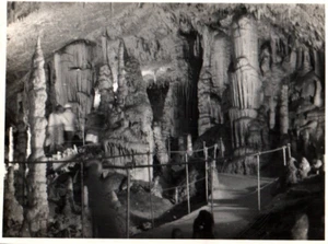 Stalactite Cavern Denmark 1900 - 1950s Rare Vintage Photo Small Size 11x8cm - Picture 1 of 1