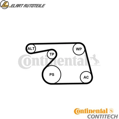 Jeu de courroies trapézoïdales à nervures 6PK1318K2 pour OPEL CORSA/D/Hatchback/Van MERIVA/MPV FIAT   - Photo 1/4