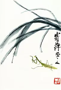 Betende Mantis 22x30 chinesischer Kunstdruck Ch'i Pai-shih asiatische Kunst - Bild 1 von 1