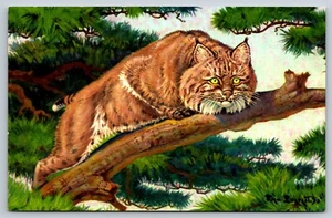 Bobcat Painting Fred Everett Lynx rufus Wildcat National Wildlife Postcard 1958 - Picture 1 of 3