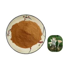 250g Latte di Tigre Fungo 30:1 Estratto in Polvere - Foto 1 di 2