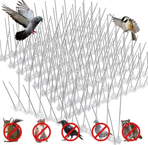 Taubenabwehr 20 Meter EDELSTAHL Spikes Vogelabwehr Taubenspikes Vogelschreck - Bild 1 von 19