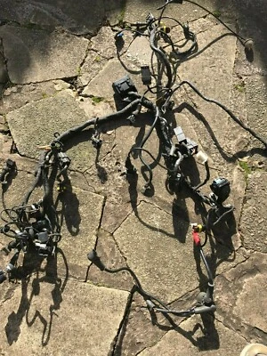 Telar de cableado principal Ducati 848 EVO 2010 Foto 1 de 4