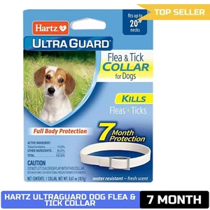 Hartz UltraGuard Flea & Tick Collar for Dogs, 7 Month Protection, White, Up to 2 - Picture 1 of 8