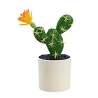 Gute Qualitt Mini-Kunstpflanzen Knstler Kaktus Drinnen Lebendige Farbe