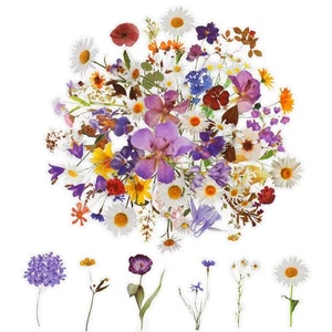 120 adesivi floreali per scrapbook,adesivi fiori naturali, adesivi estetici per - Foto 1 di 7