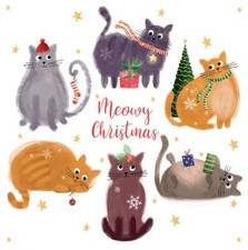 ‘Festive Felines’ Christmas Cards SCOPE Exclusive Pack of 10 Cat Xmas Cards
