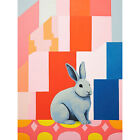 Fat White Rabbit Bold Pop Art Colourful Conceptual Modern Canvas Poster Wall Art
