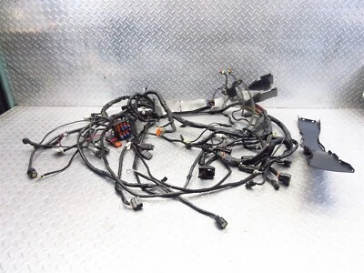 Harley Davidson Electra Glide Limited 2011 FLHTK motor principal arnés de cables telar Foto 1 de 4