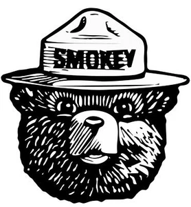 Smokey The Bear Sticker fire fighter trendy anime cute nerd art pun indie 90s - Picture 1 of 2