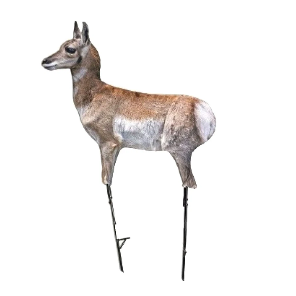 Montana Decoy Company Antelope Fawn Predator Decoy #00080 - Image 1 of 1