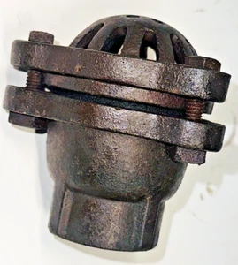 Manguera de succión de bomba de hierro fundido con válvula de pie NPT de 3/4" - Imagen 1 de 8