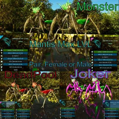 MY ARK ASCENDED ASA🦖Ark Survival Ascended Pve Mantis - Max Level 362 897dmg Imprinted