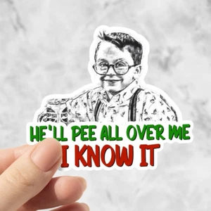 Fuller Home Alone Aufkleber für Laptops, Trinkgeschirr, Weihnachten, Strumpf Füller - Bild 1 von 2