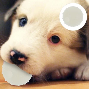  4 piezas bolas de juguete para mascotas pequeñas bolas para perros Chuck It Brillan en la oscuridad - Imagen 1 de 20