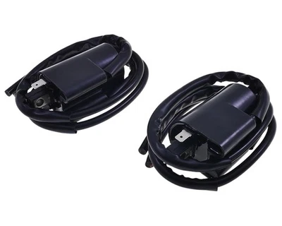 2x Bobina accensione per SUZUKI GSX-R750 1100 GSX 600 750 1100 F GSF 600 1200 Bandit - Immagine 1 di 4