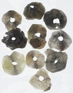 Diamante en bruto perforado de 2,97 quilates 10 piezas, piedra natural suelta en bruto - Imagen 1 de 2