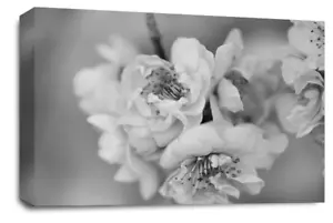 Arte de pared floral gris sala de estar dormitorio cuadro de lienzo enmarcado listo para colgar - Imagen 1 de 5
