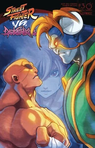 Street Fighter VS. Darkstalkers #3 Main Cover, Udon Capcom NM - Picture 1 of 2
