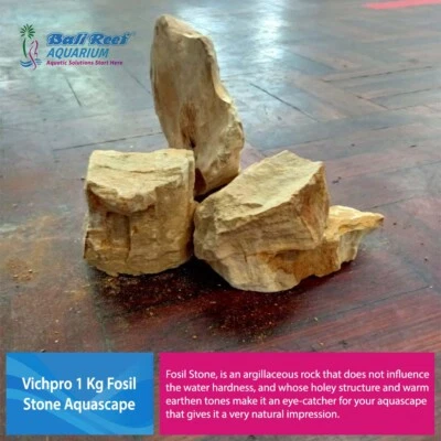Vichpro 1 Kg Piedra Fósil Peces Reptiles Acuario Iwagumi Natural Aquascape Foto 1 de 3