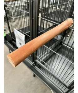 Manzanita Barsch (36 cm) - Jumbo S - Hartholz Papagei Barsch, afrikanisch grau, Aras - Bild 1 von 3
