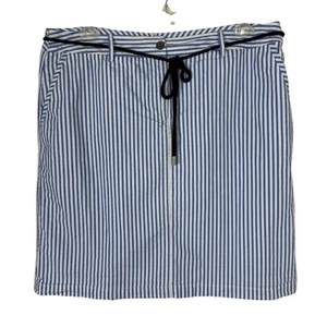 Talbots Woman Skirt Blue White Striped Cotton Plus Size 14W Coastal Nautical - Picture 1 of 7