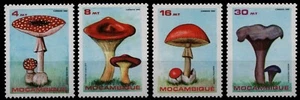 Mozambique 1986 - Mi-N.o 1057-1060 ** - Estampillada sin montar o nunca montada - setas/hongos - Imagen 1 de 1