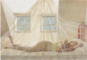 Andrew Wyeth : Day Dream : Archival Quality Art Print - Picture 1 of 2