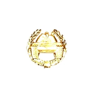 SELTENES SOWJETISCHE RUSSISCHE FÖDERATION PANZERSTREITKRÄFTE ZWEIG ABZEICHEN (FELD) ABZEICHEN... - Bild 1 von 4