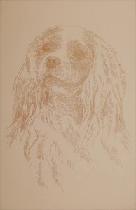 Cavalier King Charles Spaniel Dog Art Portrait #27 Kline adds dog name free. - Picture 1 of 11