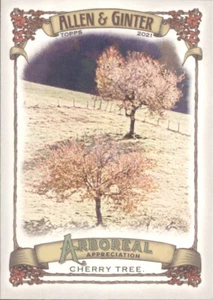 Cherry Tree - Apprezzamento arboreo 2021 Topps Allen & Ginter #AA-8 - Foto 1 di 2