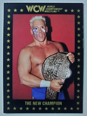 1991 Championship Marketing WCW #22 STING THE NEW CHAMPION - Image 1 of 2