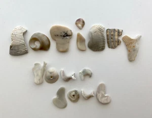 Natural Letter Shaped SATISFY YOUR SOUL beach shells craft art seashell word USA - Picture 1 of 12