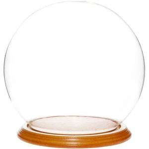 Plymor 7.5" x 8.5" Glass Display Dome Globe Cloche (Oak Veneer Base) - Picture 1 of 2