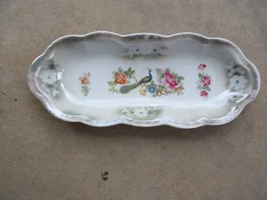 Vintage Bavaria Art Nouveau Porcelain Relish Celery Tray Peacock 12 1/2" Flowers - Picture 1 of 4
