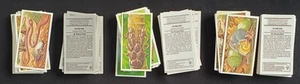 Brooke Bond - Incredible Creatures - 3 Variety Sets - Picture 1 of 1