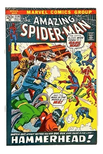 The Amazing Spider-Man #114 - NM+ - Picture 1 of 4