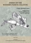Order Beloniformes Needlefishes, Sauries, Halfbeaks, and Flyingfishes : Memoi...