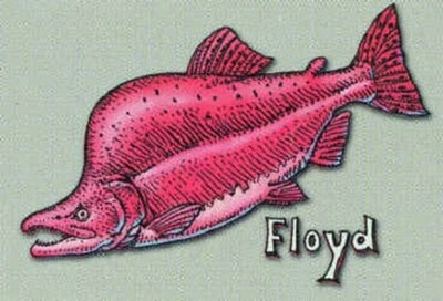 Ray Troll Pink Floyd Humpy Salmon Music Juego de palabras Nueva camiseta para adultos M, S camiseta de algodón Foto 1 de 2