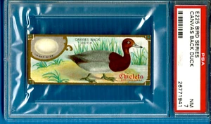 Chiclets Bird Series 1910 E225 #nn lona espalda pato PSA 7 (Pop 1 - 0 superior) - Imagen 1 de 2