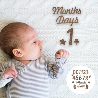 1 Set Baby Numbers Sign Wooden Baby Monthly Sign for Baby Shower - image 1 of 4