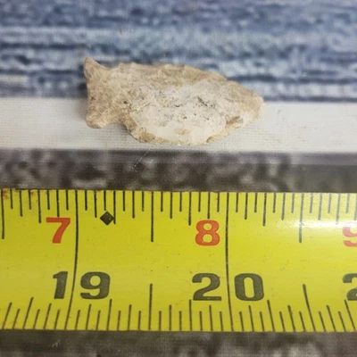 Cabeza de flecha vintage blanca/marrón WI/ILL área coleccionable  Foto 1 de 4