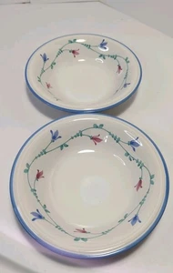 Savoir Vivre PORTOFINO BLUE JF036 Sopa/Cereal/Cuenco para Servir 8 pulgadas Juego de 2 - Imagen 1 de 5