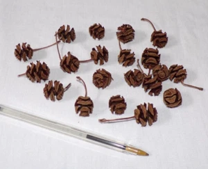 Miniature Dollhouse Craft Supplies Natural Rose Flower Shaped Pinecones Lot 20 - Picture 1 of 2
