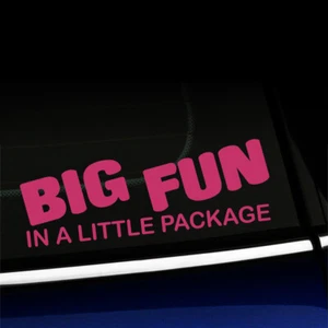Big Fun - Sticker Decal for MINI Cooper Smart Car Fiat Beetle - Choose color! - Picture 1 of 26